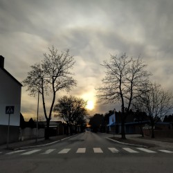Just another day in the village.