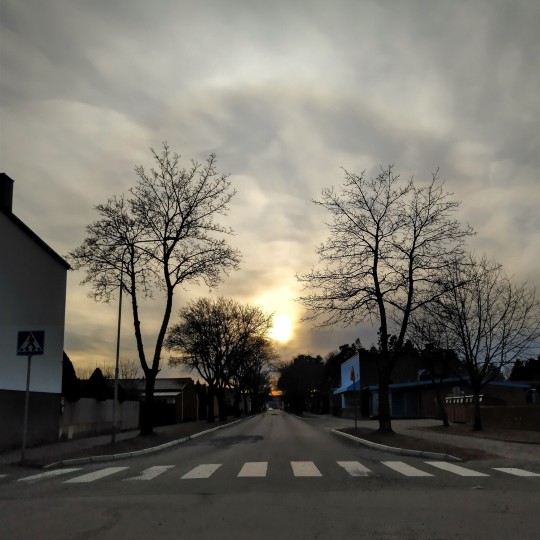 Just another day in the village.