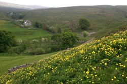 pagewoman:  Tynehead, North Pennines, England