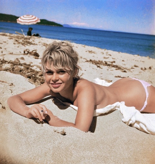 Brigitte Bardot image gallery