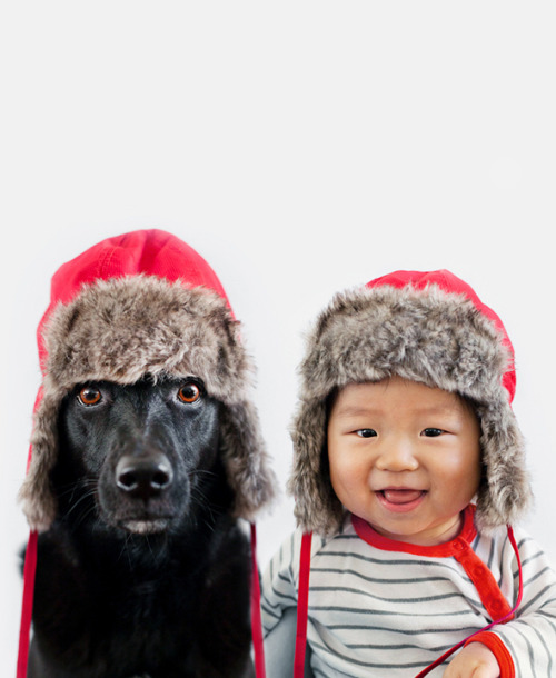 ninjacuffedyochick:  felicianicoley:  mymodernmet:  Lifestyle photographer Grace Chon recently turned the camera on her 10-month-old baby Jasper and their 7-year-old rescue dog Zoey, putting them side-by-side in the some of the most adorable portraits