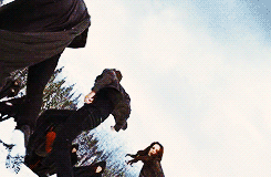 2022 and still love twilight