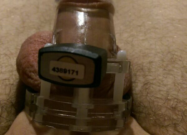 lttlmutt1:  All locked up if i peal off the sticker it will tear and mistress will