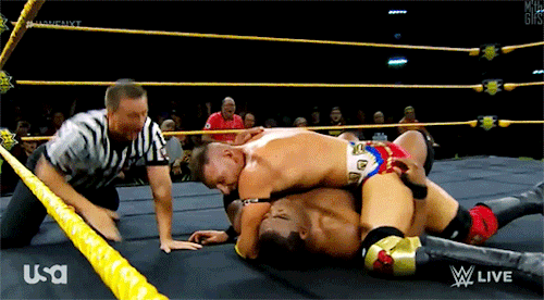 I Was A Little Surprised The Ring Didnt Collapse Under The Combined Weight Of Lee, Dijakovic, And Their