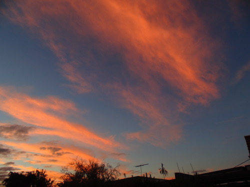 cowritten:the sky looked like fairy floss! ♡