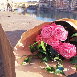 onwaba:  Roses in Florence