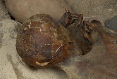 ~ Predynastic Egyptian Man.
