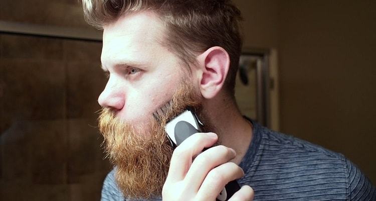 best beard trimmer for long beards reddit