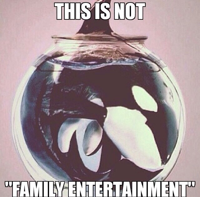 sp0tlessmiind:  valdiross:  Free them.  ☀