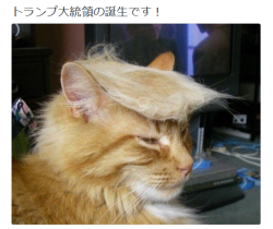 re-nise3kawan:T.Kamadaさんのツイート: “トランプ大統領の誕生です！ https://t.co/gSGfU5aoNf”