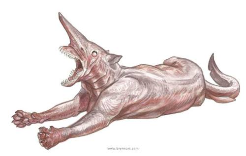 dr-archeville: Shark Cats: Portraits of Terror by Brynn Metheney [source] Basking SharkCat Blue Shar