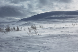 tiinatormanenphotography: Hard wind. I really love arctic Lapland.  Käsivarsi wilderness area, Enontekiö, Finland.  April 2015.  by Tiina Törmänen | www | FB | IG | 