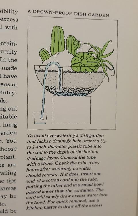 ectoimp: Found in a vintage succulent book. I’ve seen the pebbles at the bottom for ‘drainage’ but w