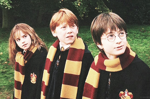 dnscully:  People ask me if there are going to be stories of Harry Potter as an adult. Frankly, if I wanted to, I could keep writing stories until Harry is a senior citizen, but I don’t know how many people would actually want to read about a 65 year