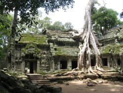 Wild-Wide-World-Web-Erochic:  Angkor Est Une Région Du Cambodge Qui Fut Une Des