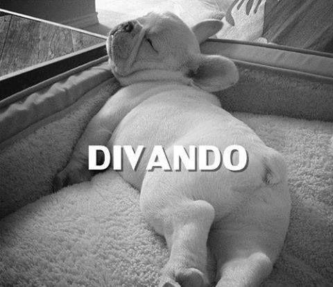 tedio-fome-e-preguica:  facebook | instagram 
