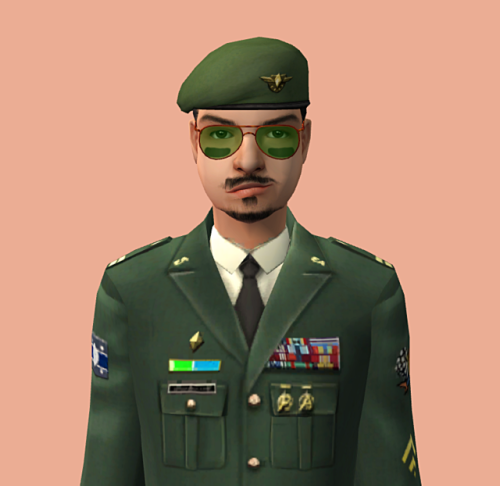 fake-sims:new townies