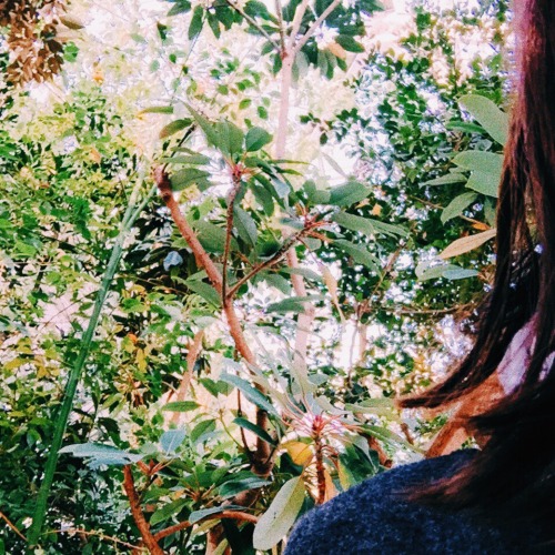 mohtz:  thanks to everyone who wished me a happy birthday! i saw lots of plants, ate good food and all in all had a pleasant day - i hope you did too!