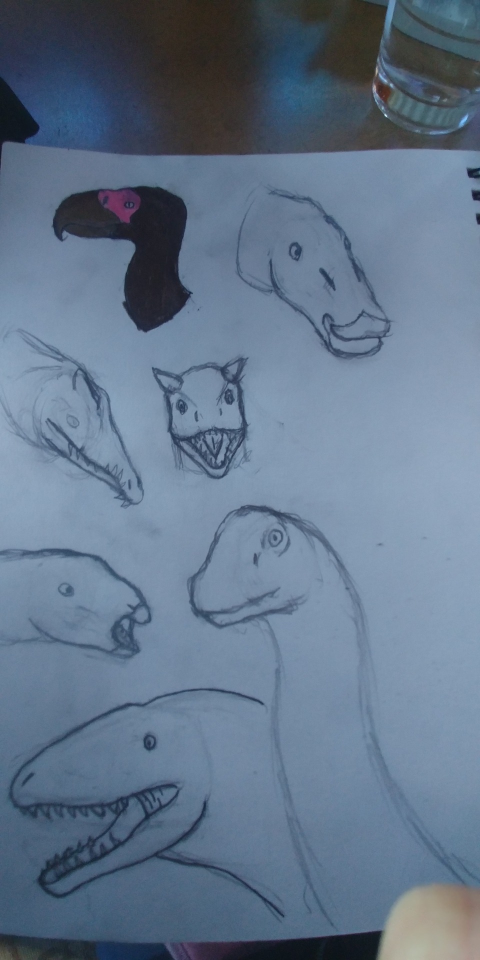 Dino Doodles