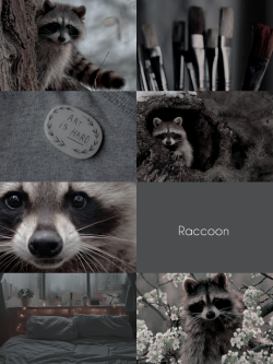 sproutaesthetics: daemons | RACCOON  individuals