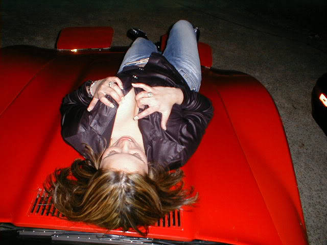 Chicks posing on cars