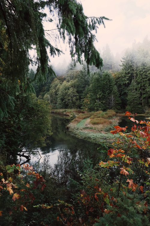 expressions-of-nature: by Alex Harley