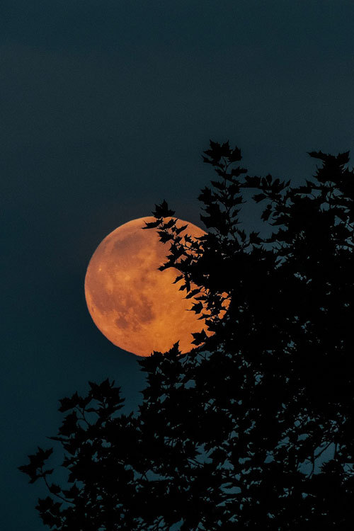 Porn Pics plasmatics-life:  Super-moon [via/more] By