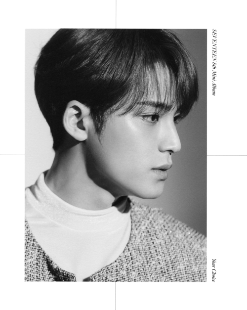 [scans] your choice, ver. one side | mingyu (set 3 of 3)take out with full credits