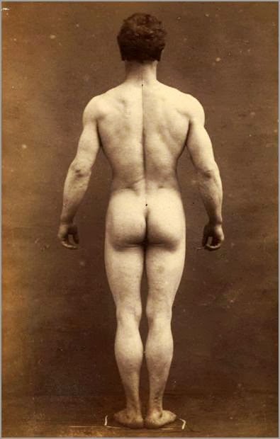 gonakedmagazine:  Hope it’s a naked holiday for you! Merry Christmas from GoNaked Magazine - Everything for the male nudist! Join the mail list NOW and GET THE DECEMBER ISSUE FREE: http://ift.tt/19h4FSr (left column). 