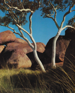 plant-scans: The Devil’s Marbles in the Northern Territory, Australia: Colourful Continent, Irene and Michael Morcombe 1975