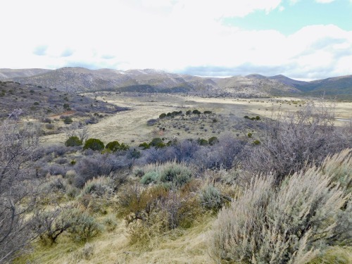 Mountain (Mormon) Meadows Massacre Site, Washington County, Utah, 2020.Once commonly called the “Mor