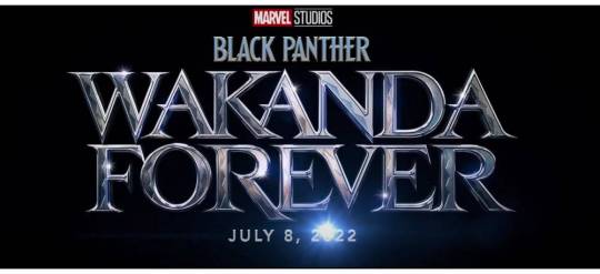 Black Panther - Wakanda Forever 9f6fc3a9f10a0623bb135cf869ed3f55d1a89ad9