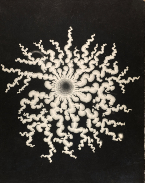 darksilenceinsuburbia:  Gyorgy Kepes Lichtenberg figures: A. R. von Hippel1951Photographic enlargement on particleboard Lichtenberg figures: A. R. von Hippel1951Photographic enlargement on particleboard UntitledDate unknownPhotographic enlargement on