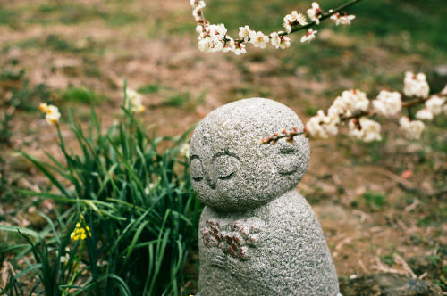 floralls:  by tsukasa*