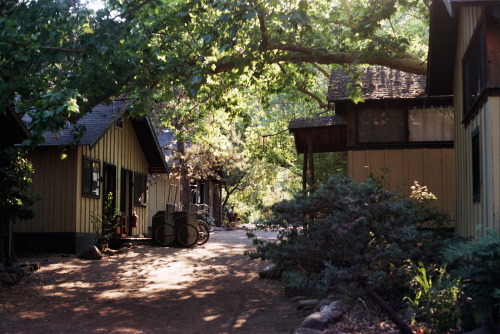 Its been a few weeks since I&rsquo;ve been home from Tassajara Zen Mountain Center. Coming back to a