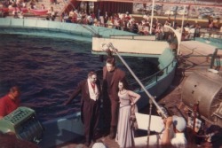 ronaldcmerchant:  the Munsters at Marineland in 1965