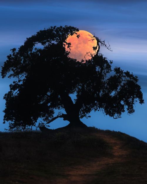 colorel11:©Eric Houck