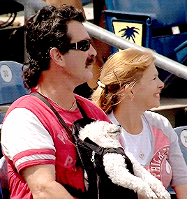 incomparablyme:  Video: Super Chill Dog Hangs Out in Baby Carrier at Baseball Game