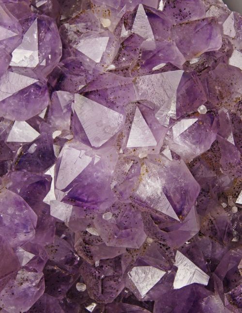 bijoux-et-mineraux:  Amethyst - Rio Grande do Sul, Brazil
