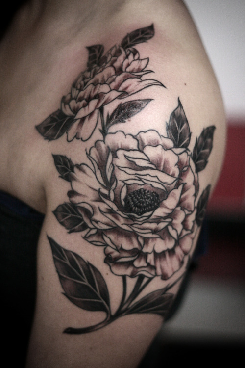 alicecarrier:  peonies!  thanks, jil! 