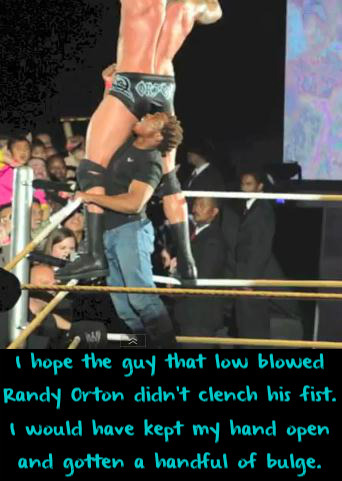 wrestlingssexconfessions:  I hope the guy that low blowed Randy Orton didn’t clench