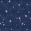 star-grrrl-max