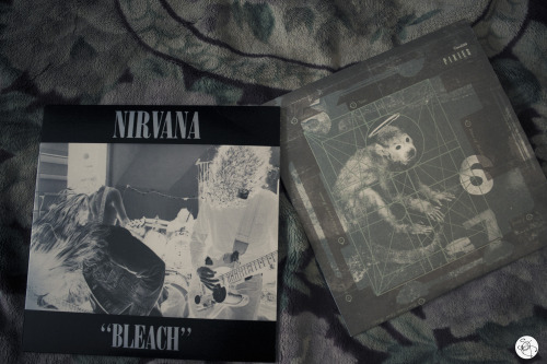 seanoday:  Vinyl collection finally increasing. 