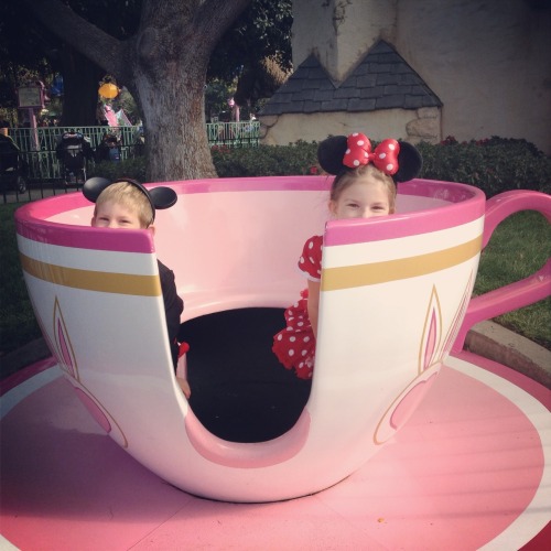 Two mice in a cup