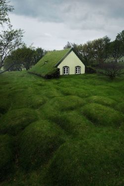 j-k-i-ng:  “Rooftop garden“ by | Tom