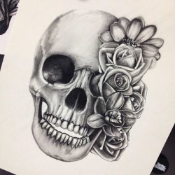 alekskrgovic:  Skull sketch .