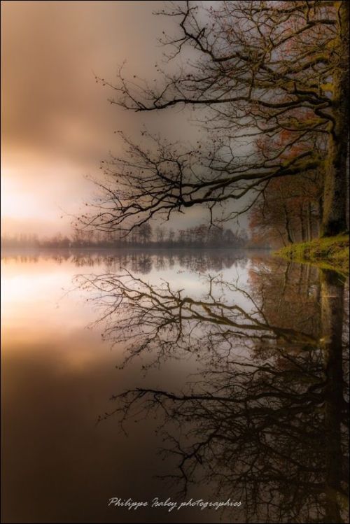 crescentmoon06 - by philippe isabey