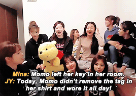 misamo:  spilling tea on nayeon vs. momo