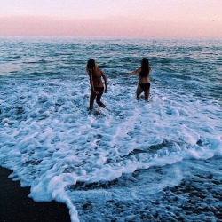 asurferdreams:  Surfing posts