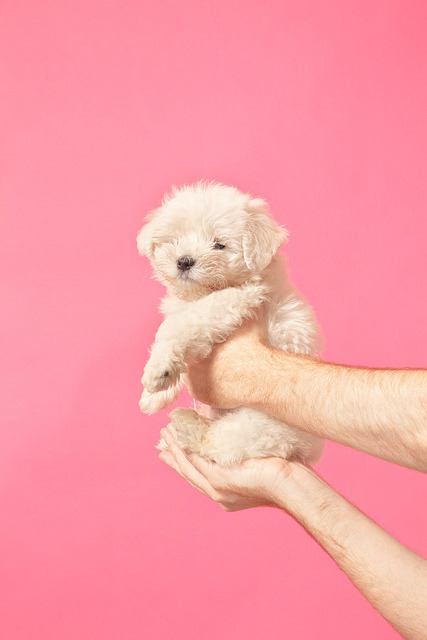 pienoy:  untitled by martina giammaria on Flickr.